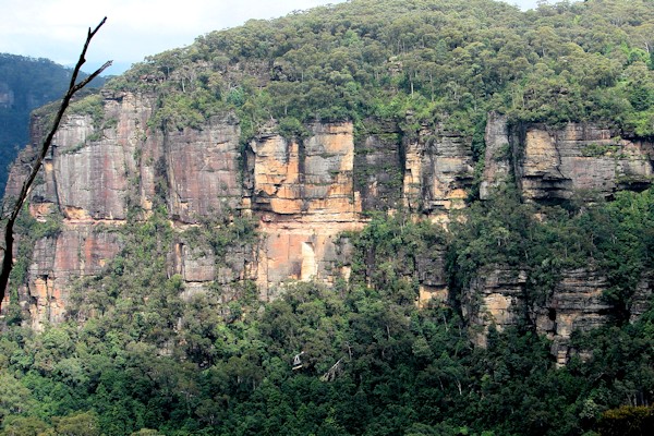 Gorge in Blue Mountains