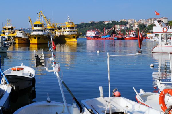 Port of Sinop
