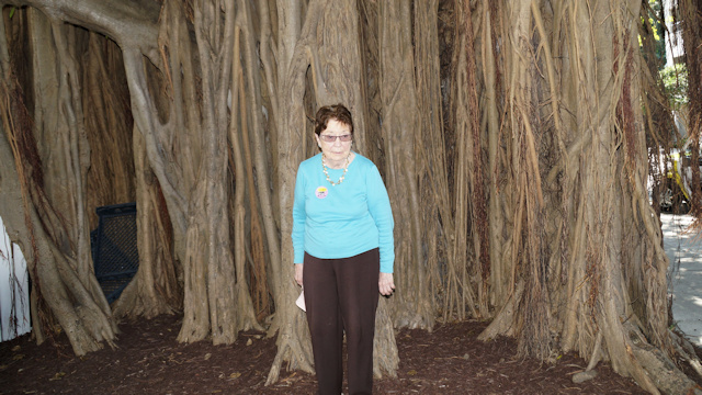 Janet hiding a Banyan Tree