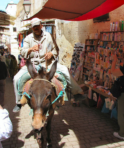 Transport in Old Fes