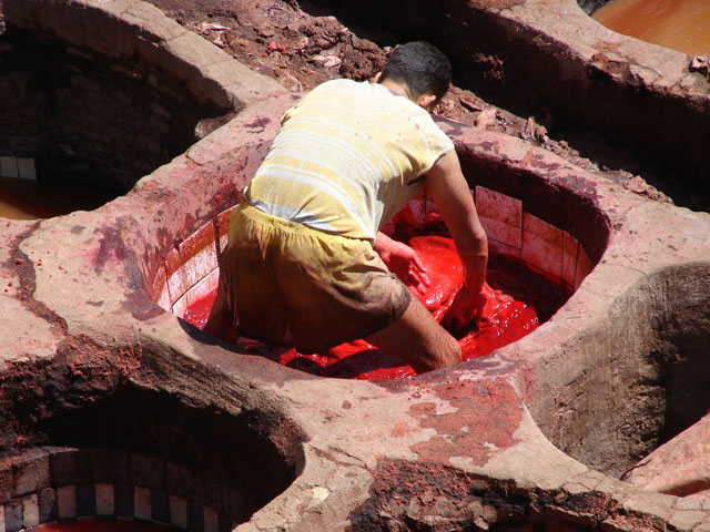 Tannery Closeup